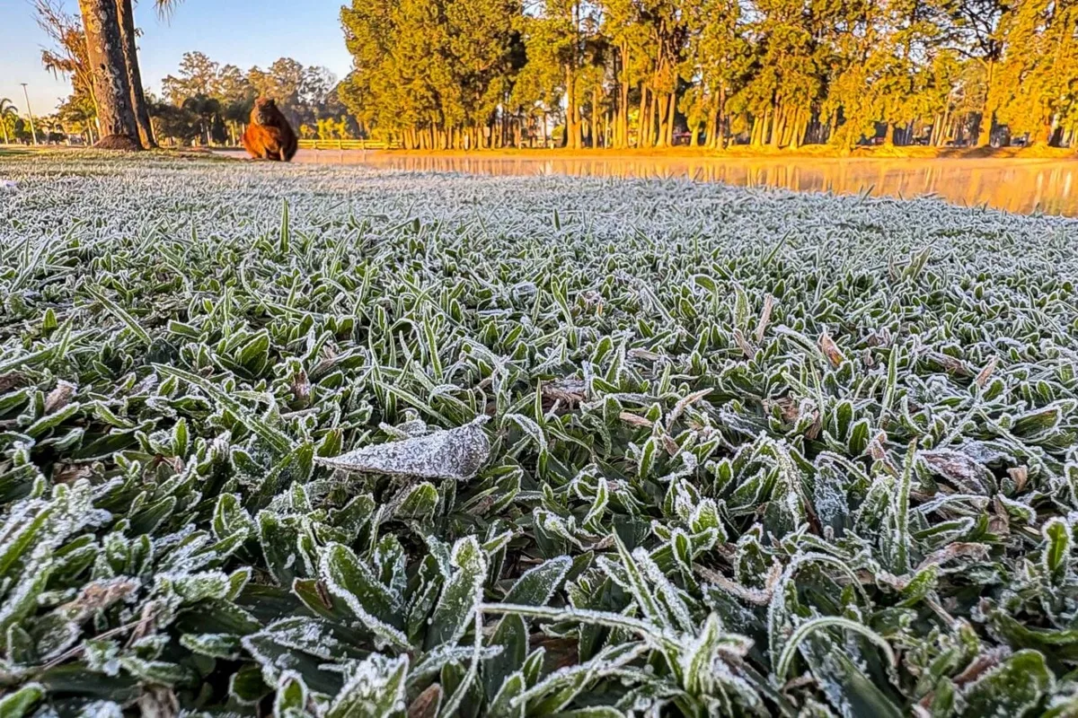 Palmas marca 2,8ºC e Paraná mantém previsão de geada