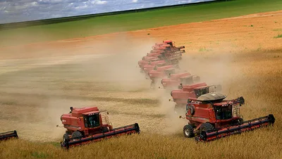 Agrodefesa estuda flexibilizar calendário da soja em Goiás