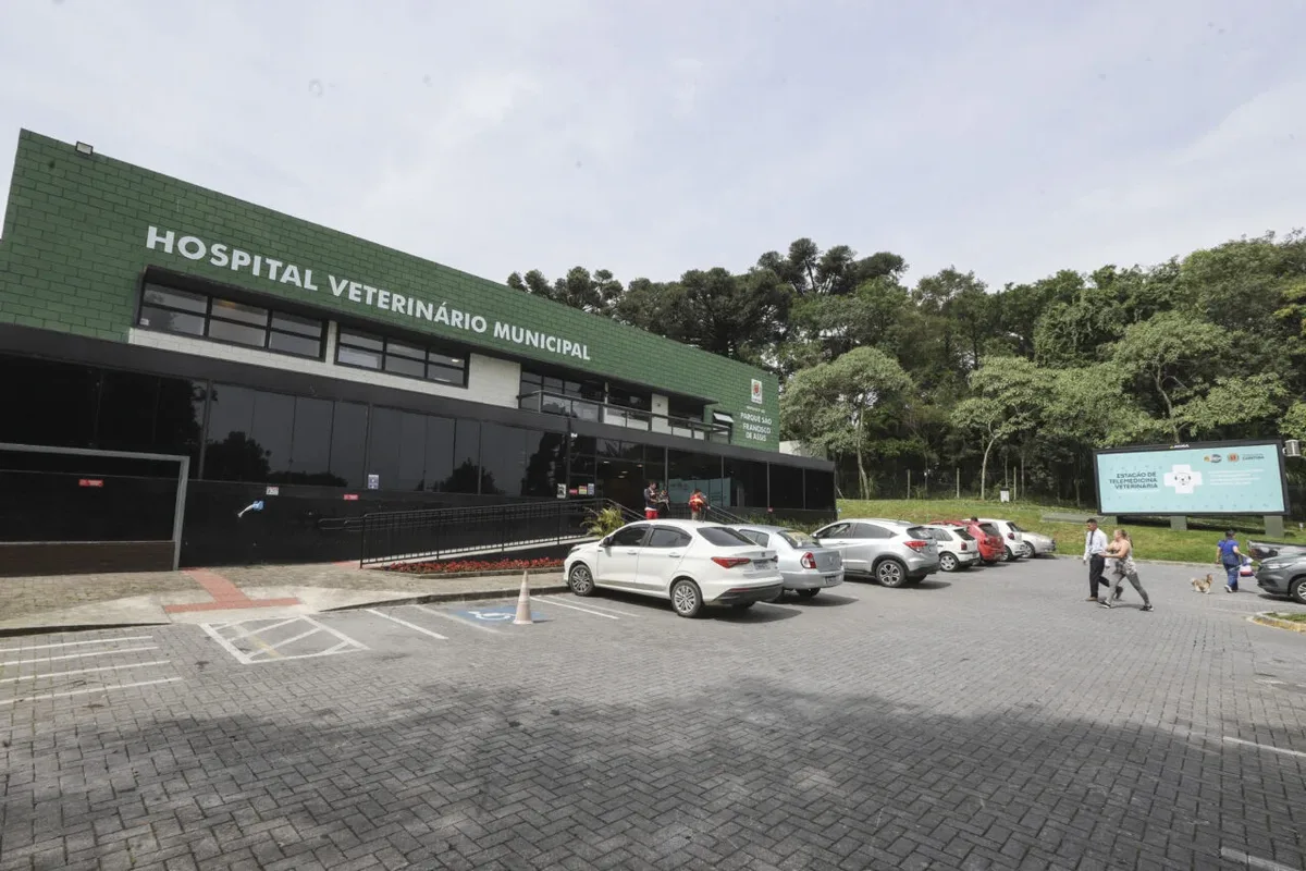 Hospital veterinário de Curitiba registra 353 mil procedimentos desde janeiro de 2025