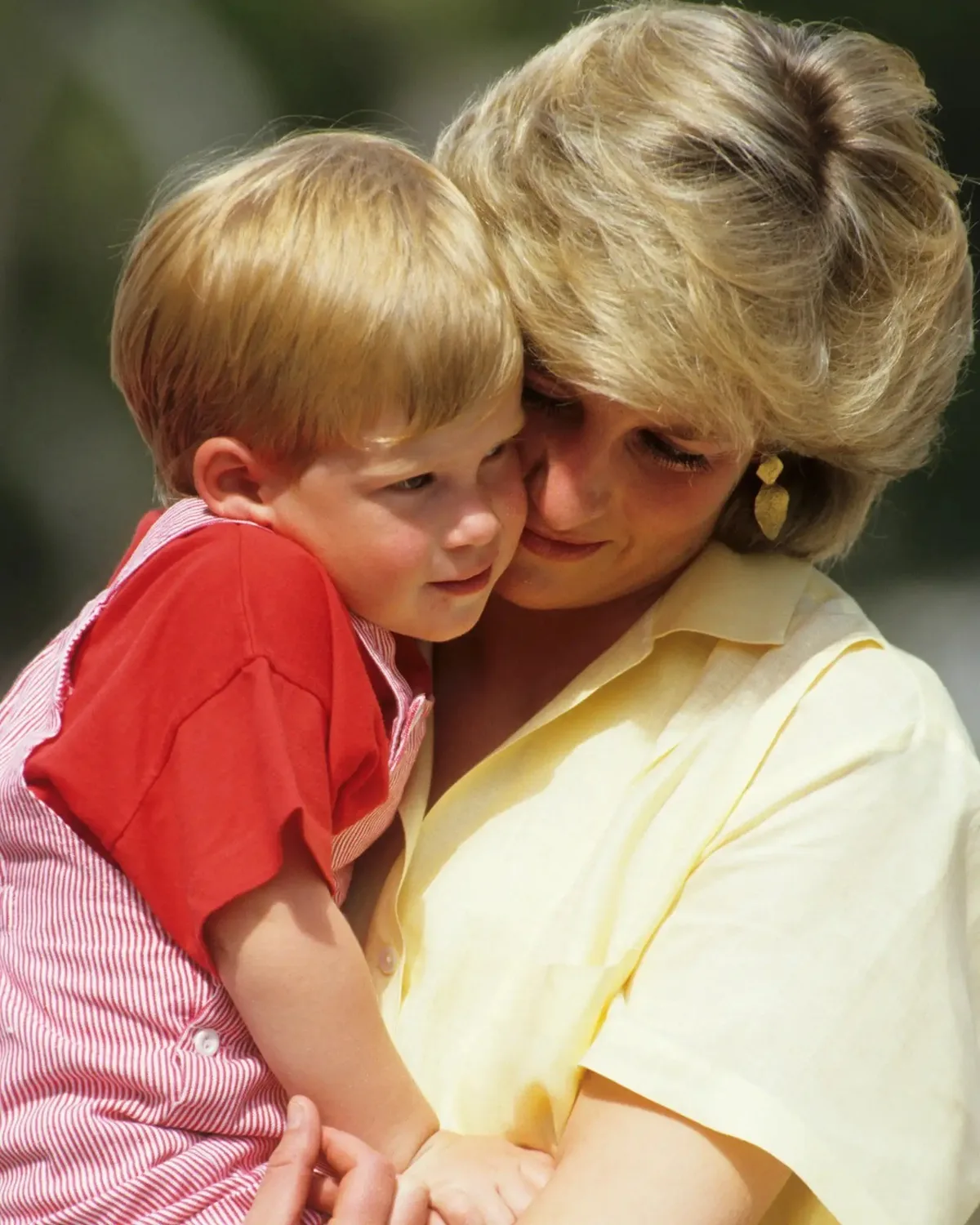 William evita produções sobre Diana, enquanto Harry avalia documentário
