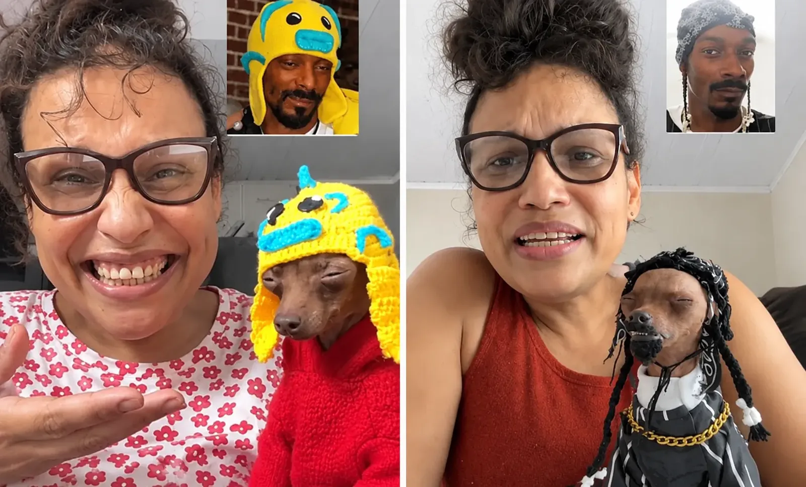 Pinscher de Goiás ganha fama ao ser comparado a Snoop Dogg