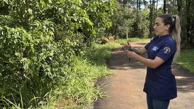 Oito animais são devolvidos à natureza em parque de Cambé