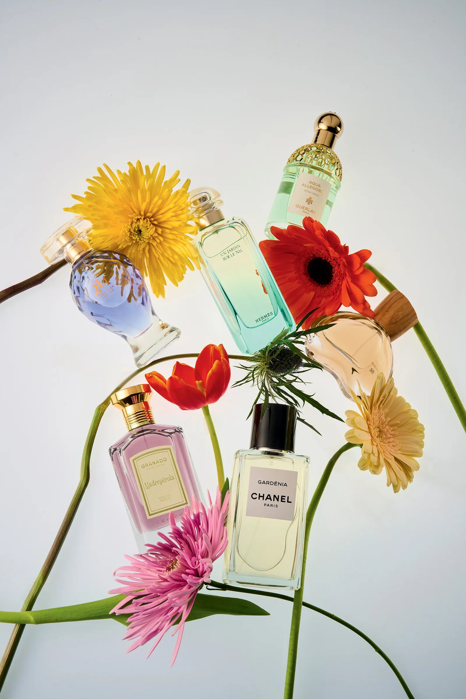 Seis perfumes florais com notas verdes, aquáticas e terrosas