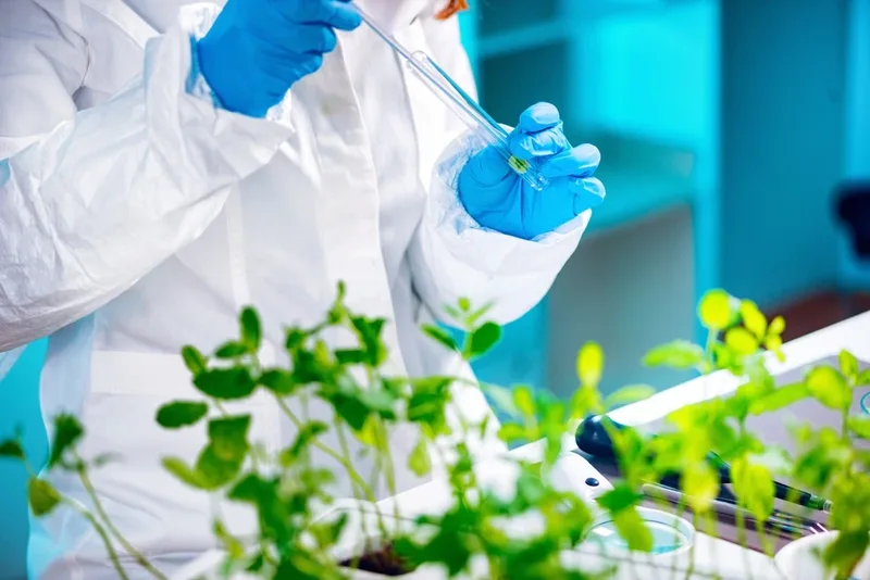 Bioinsumos avançam 80% ao ano em Goiás, afirma Agrodefesa