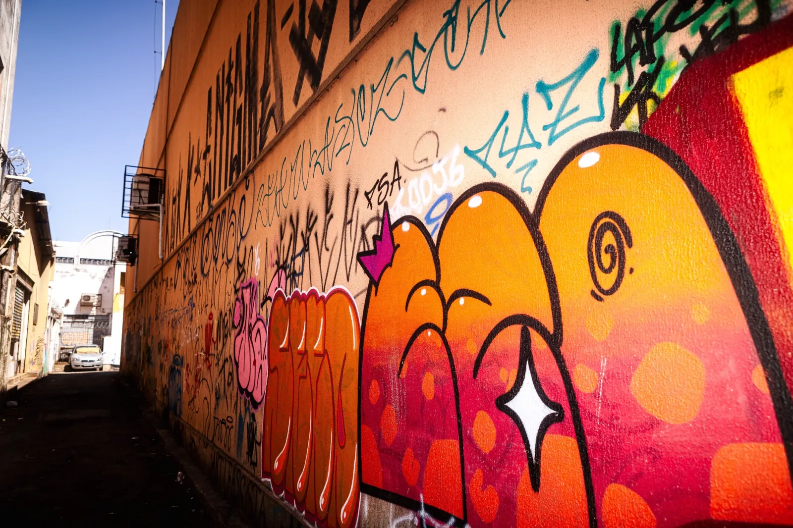 Câmara de Goiânia aprova projeto com multas para pichações e grafites sem autorização
