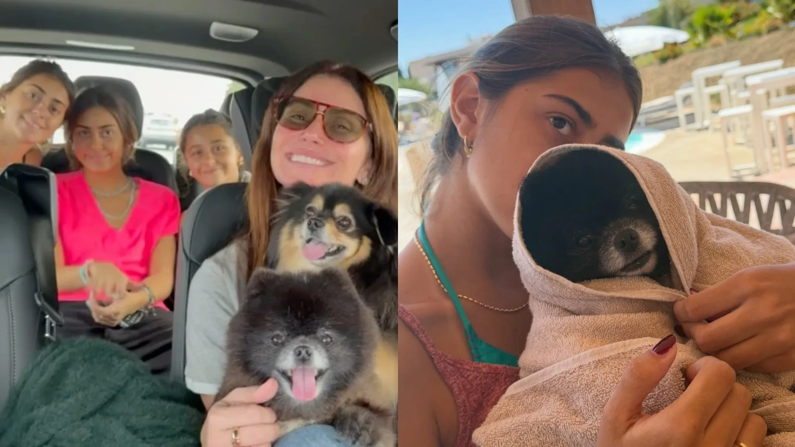 Giovanna Antonelli compartilha momentos com as filhas gêmeas e os cães da família