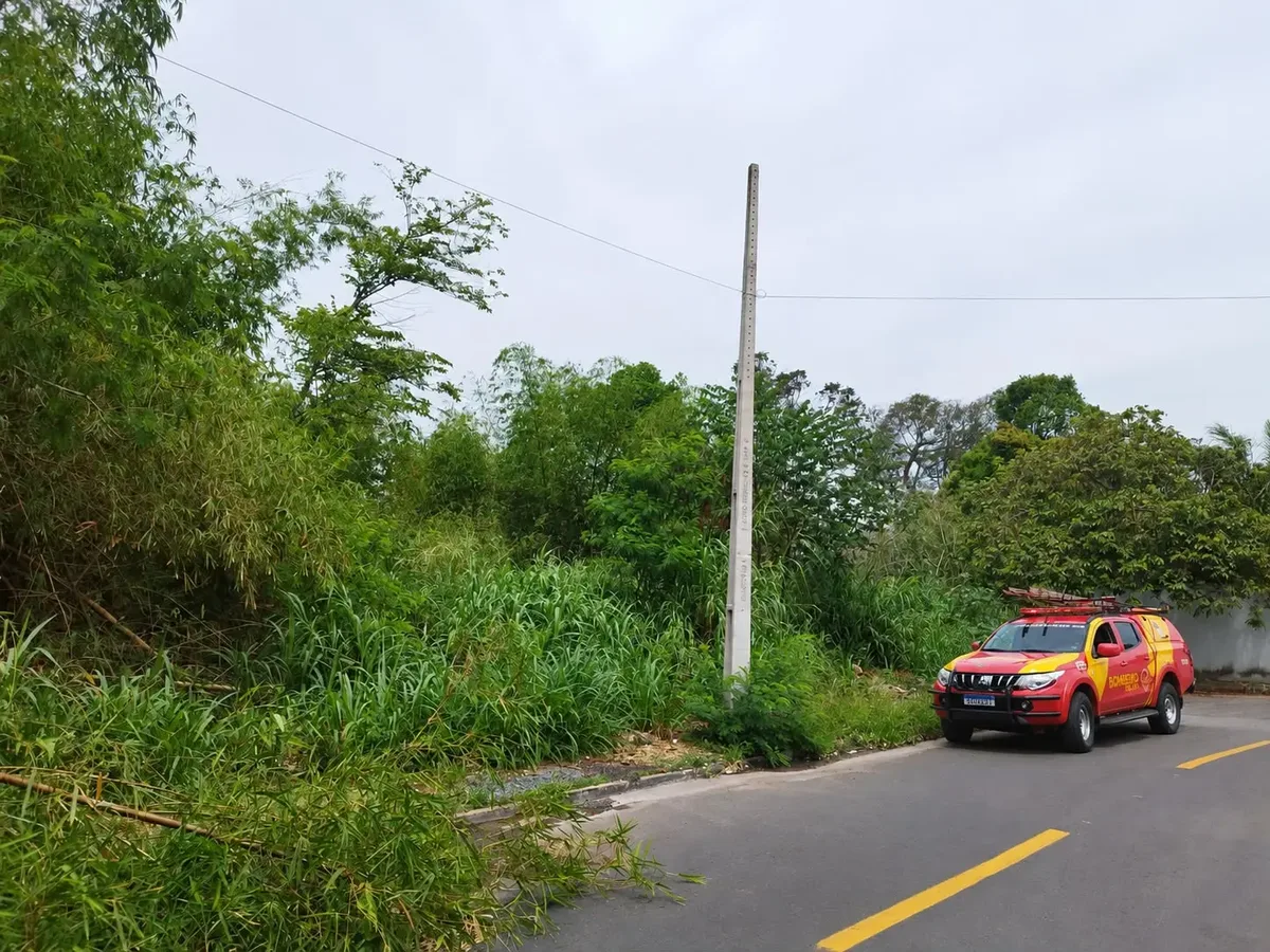 Ossada humana é localizada em chácara durante busca por idosa em Goiânia
