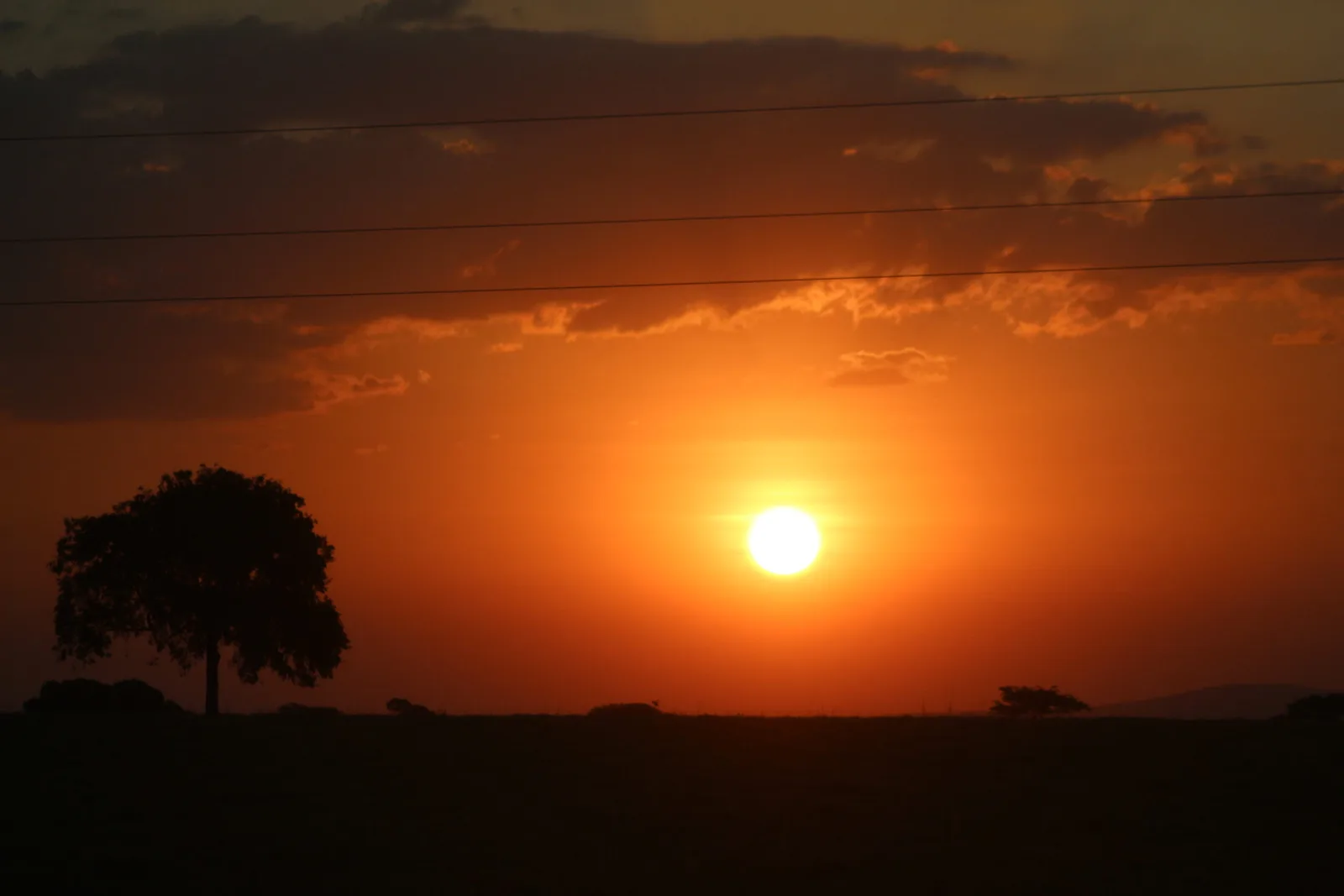 Goiás terá calor de até 39°C e alerta de incêndios em 97 municípios
