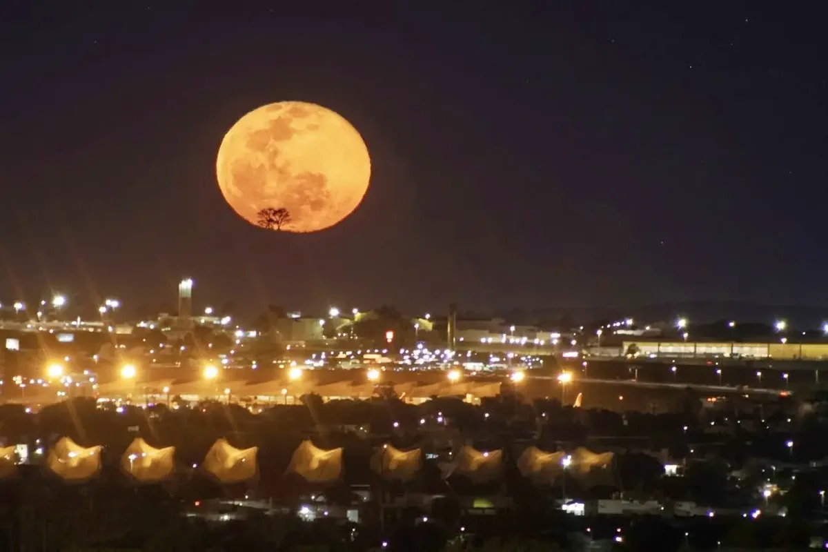 Lua da Colheita aparece em Goiânia e marca a décima Lua Cheia de 2026