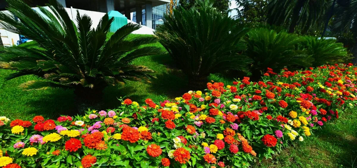 Neoville promove concurso de jardins e paredes verdes em Curitiba