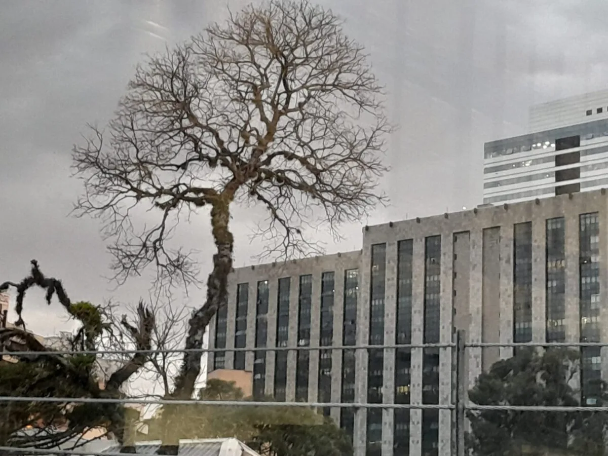 Curitiba terá máxima de 21°C e risco de temporais no sábado