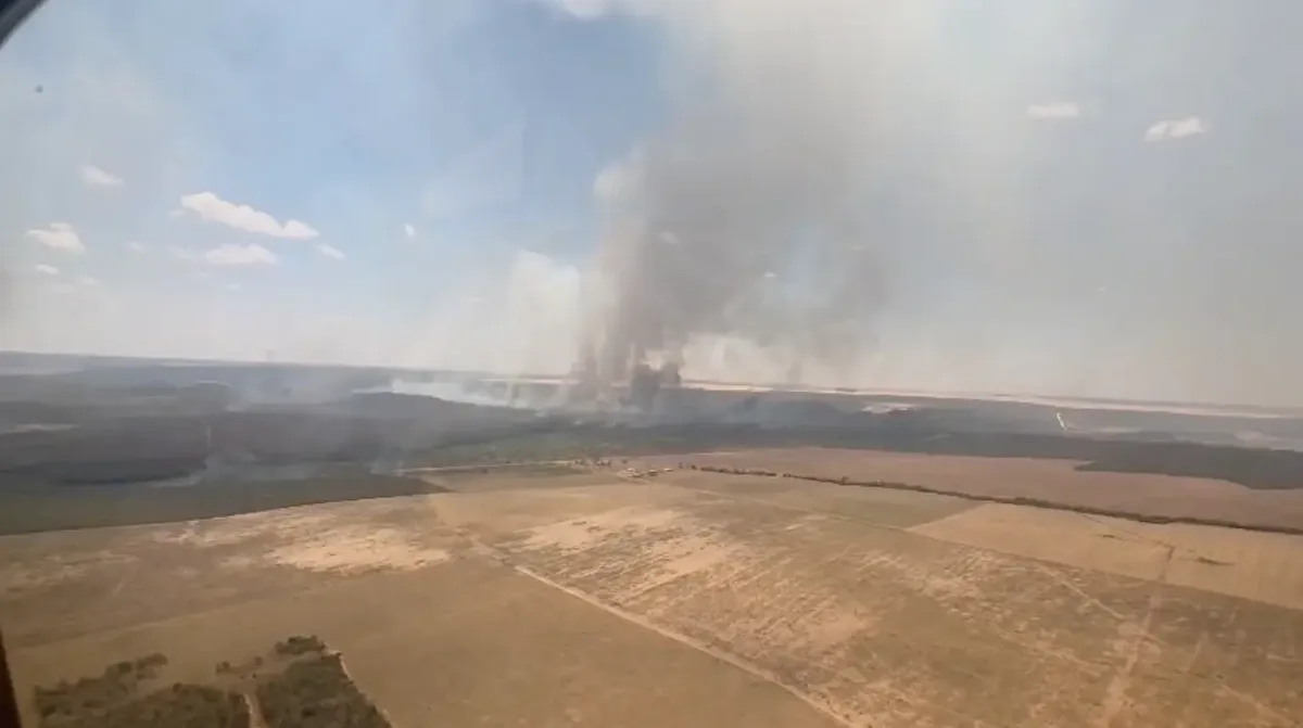 Bombeiros mantêm combate a incêndio ativo em Posse nesta quarta-feira