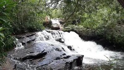 Meia Ponte recua enquanto Rio Verde e Saia Velha ficam acima do normal em Goiás