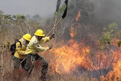 Fogo avança em área de acesso difícil na Chapada dos Veadeiros