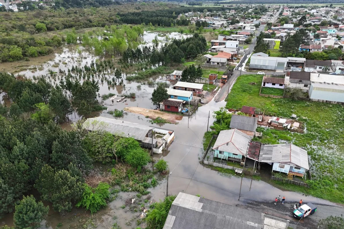 Defesa Civil prepara resgate de animais durante cheia do Rio Iguaçu