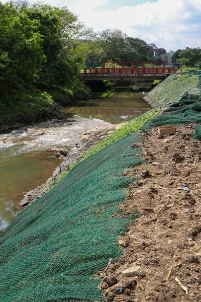 Curitiba avalia raízes profundas para reforçar margens do Rio Vila Formosa