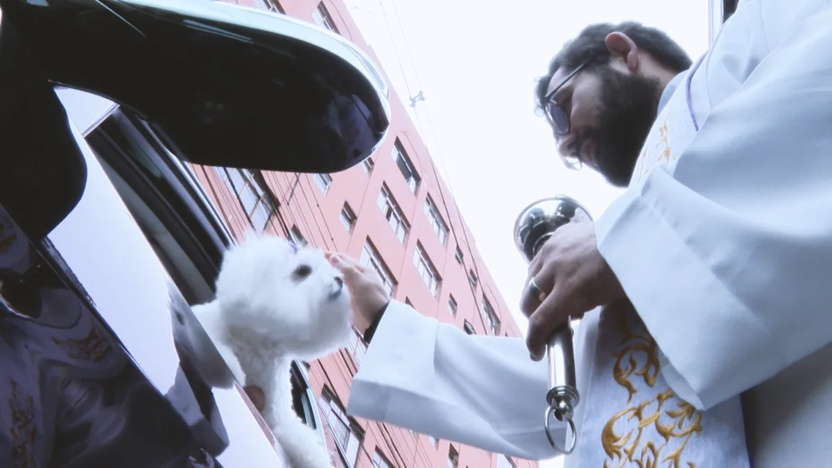 Curitiba agenda bênçãos de pets em santuário, universidade e paróquias
