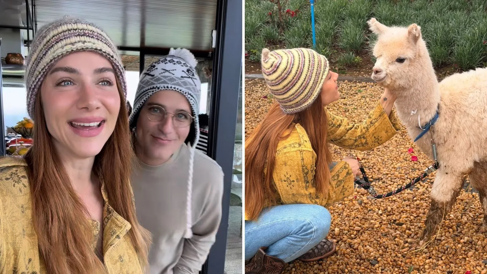Giovanna Ewbank recebe alpaca e mini cabra no aniversário