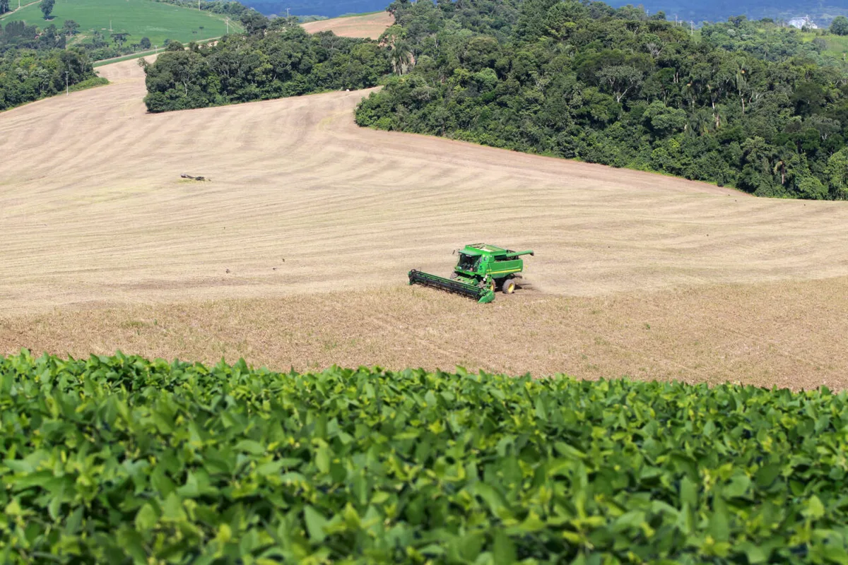 Cascavel, Toledo e Guarapuava puxam liderança agrícola do Paraná em 2025