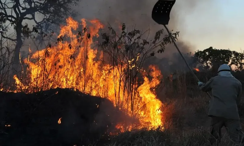 Alerta de incêndios atinge 94 municípios de Goiás nesta quarta-feira