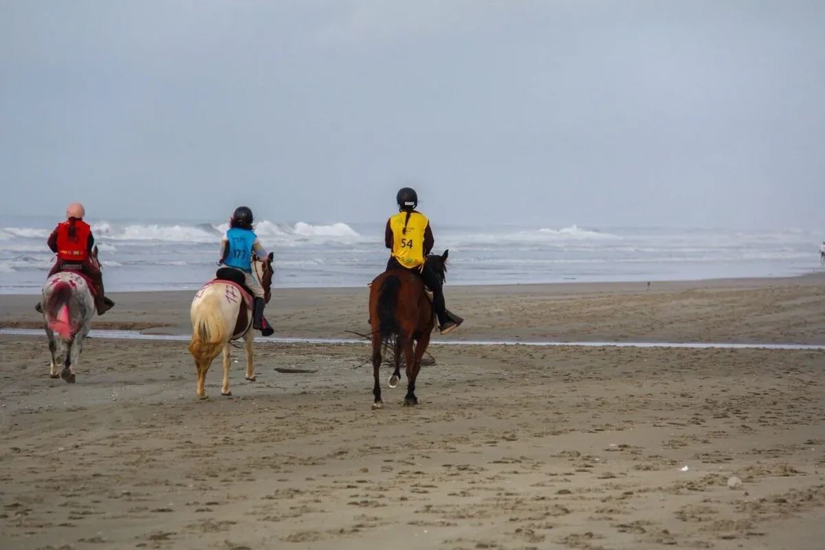 Endurinho leva iniciação ao hipismo para crianças em Guarapuava