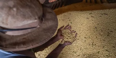 Goiás acumula superávit de US$ 5,6 bilhões até agosto de 2026