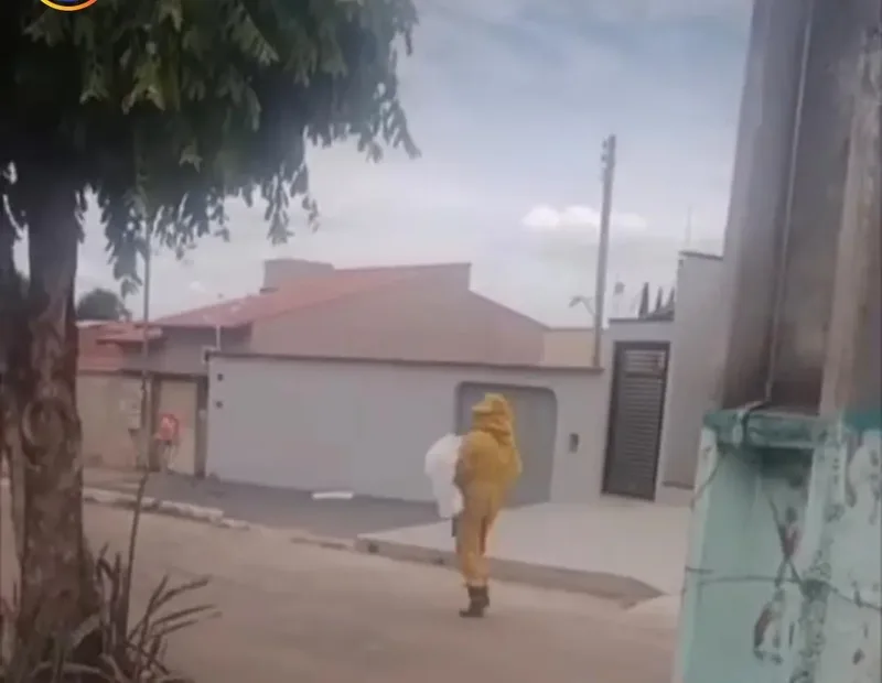 Bombeiros isolam trecho após abelhas atacarem moradores e matarem cão em Caldas Novas