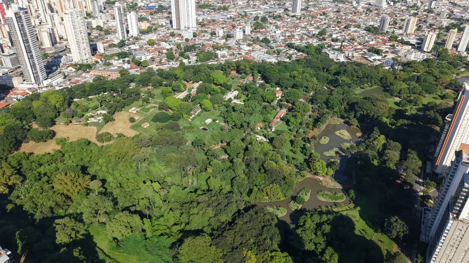 Goiânia combina turismo de passagem, consumo variado e estadias curtas