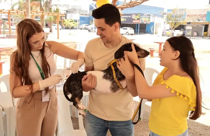 Aparecida de Goiânia terá vacinação antirrábica gratuita em 60 pontos