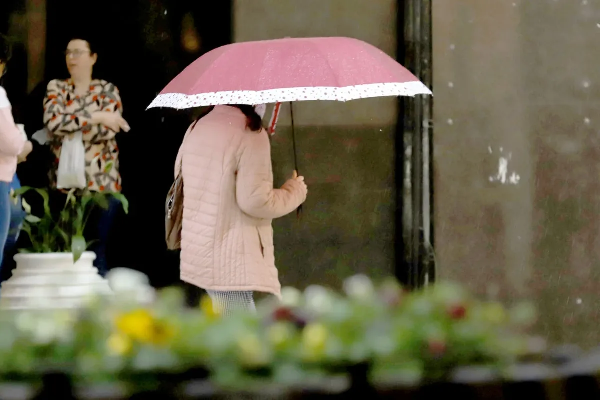 Curitiba terá chuva no fim de semana; veja 5 opções de passeio em locais fechados