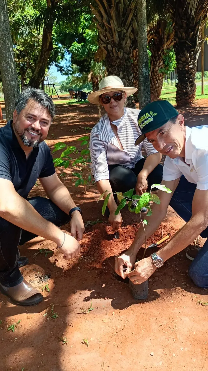 Quintas do Cerrado planta 500 árvores nativas em ação ambiental em Trindade