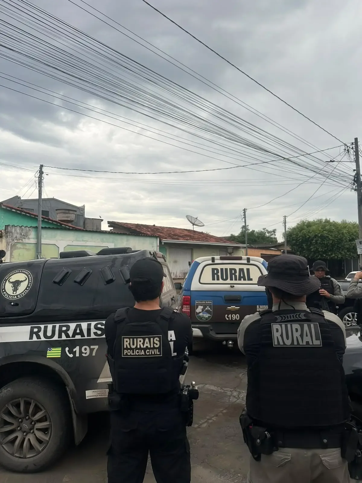 Operação Campo Aberto mira grupo suspeito de furtar gado em Goiás e Mato Grosso