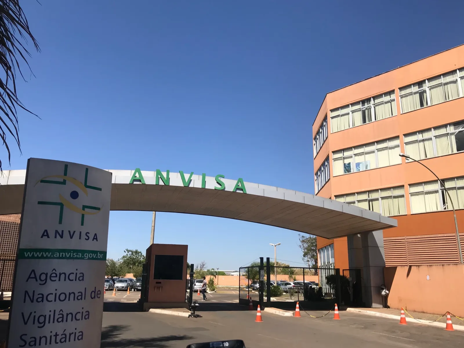 Anvisa barra produtos com Moringa oleifera por falta de segurança comprovada